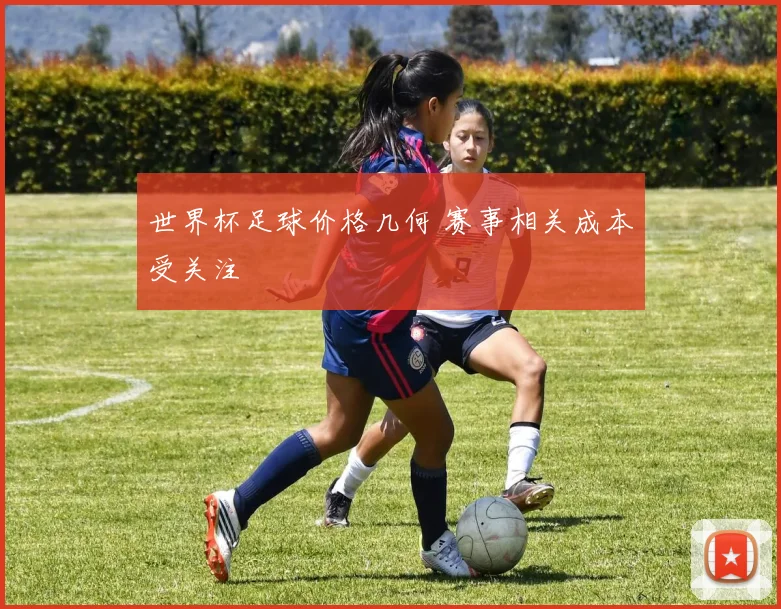 世界杯足球价格几何 赛事相关成本受关注