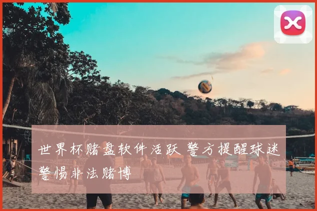 世界杯赌盘软件活跃 警方提醒球迷警惕非法赌博