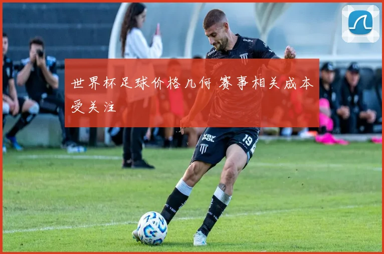 世界杯足球价格几何 赛事相关成本受关注