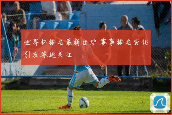 世界杯排名最新出炉 赛事排名变化引发球迷关注