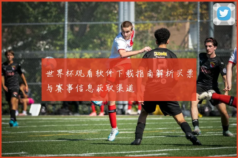 世界杯观看软件下载指南解析买票与赛事信息获取渠道