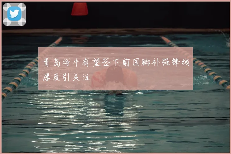 青岛海牛有望签下前国脚补强锋线厚度引关注