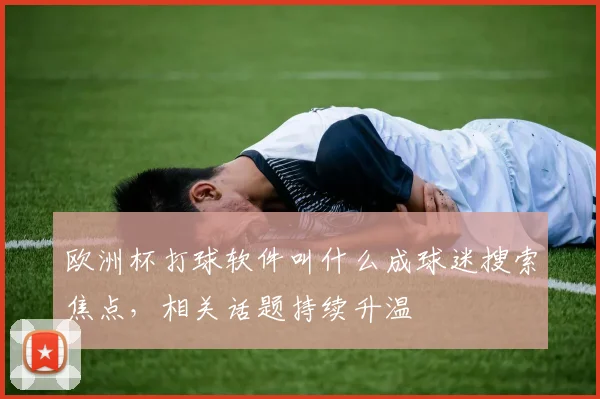 欧洲杯打球软件叫什么成球迷搜索焦点,相关话题持续升温