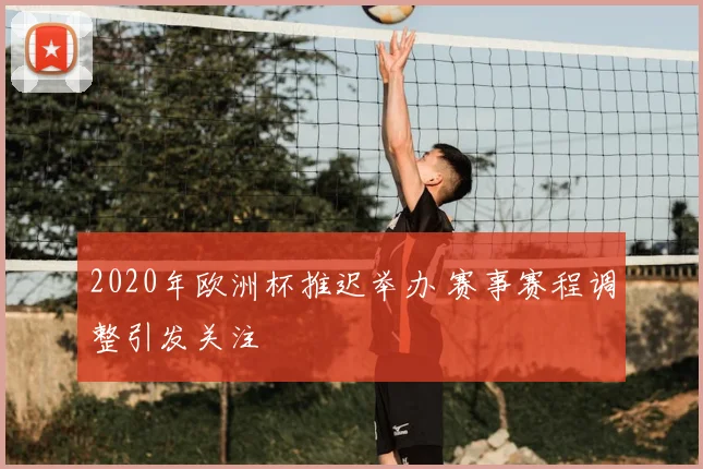 2020年欧洲杯推迟举办 赛事赛程调整引发关注