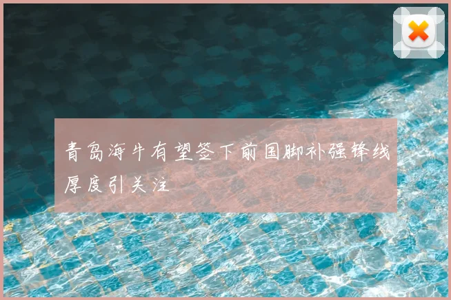 青岛海牛有望签下前国脚补强锋线厚度引关注