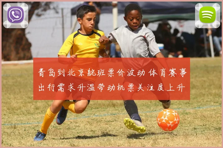 青岛到北京航班票价波动 体育赛事出行需求升温带动机票关注度上升