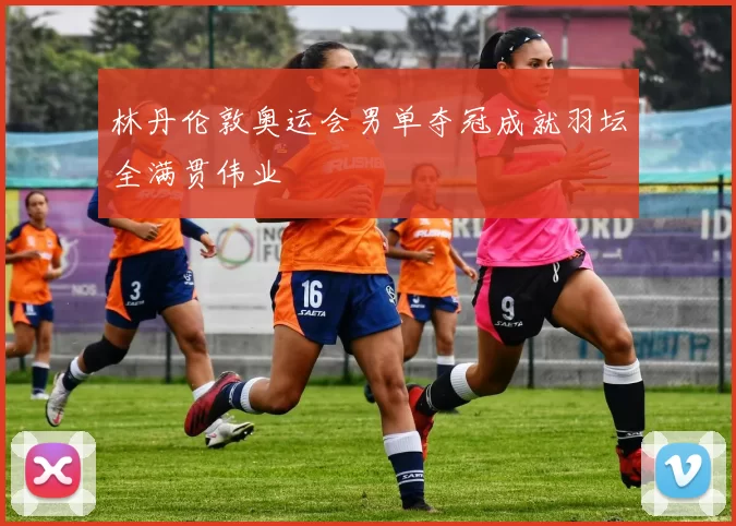 林丹伦敦奥运会男单夺冠成就羽坛全满贯伟业