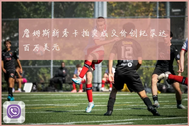 詹姆斯新秀卡拍卖成交价创纪录达百万美元