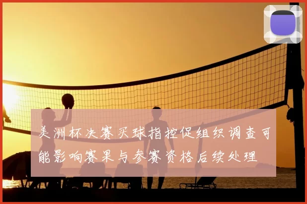 美洲杯决赛买球指控促组织调查可能影响赛果与参赛资格后续处理