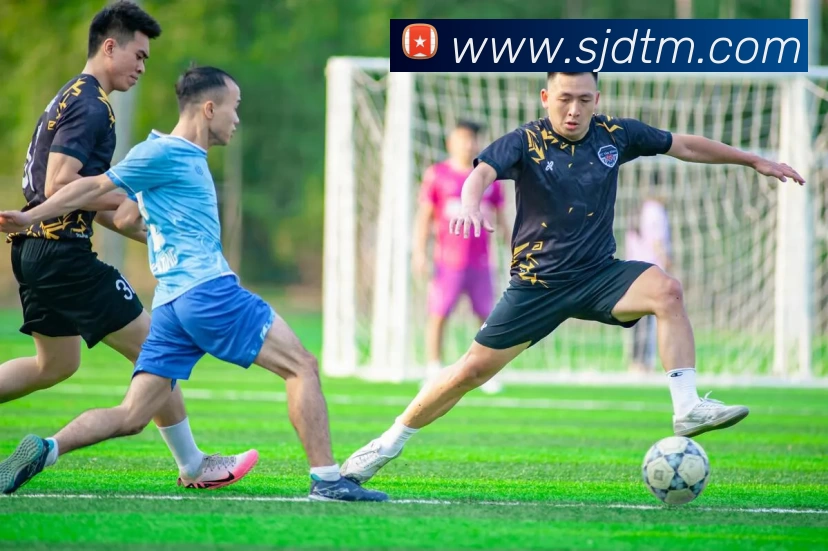 多媒体互动体验